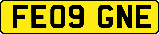 FE09GNE