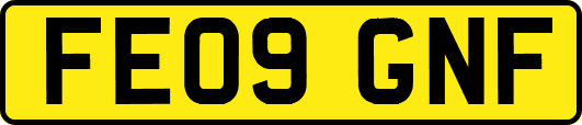 FE09GNF