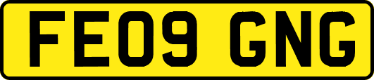 FE09GNG