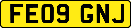 FE09GNJ