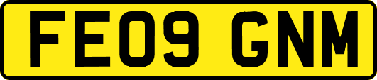 FE09GNM