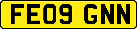 FE09GNN