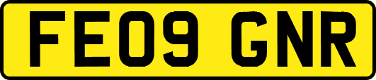 FE09GNR