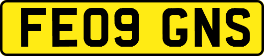FE09GNS
