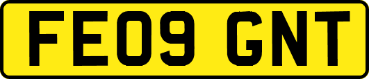 FE09GNT
