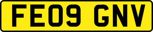 FE09GNV