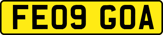FE09GOA