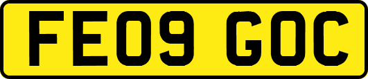 FE09GOC