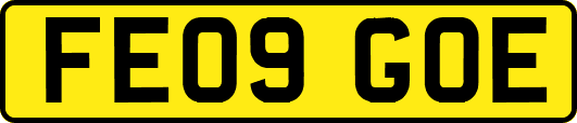 FE09GOE