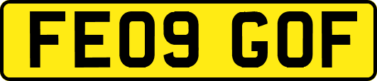 FE09GOF