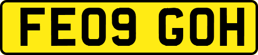 FE09GOH