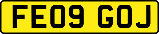 FE09GOJ