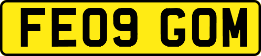 FE09GOM