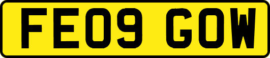 FE09GOW