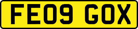 FE09GOX