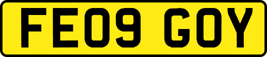 FE09GOY
