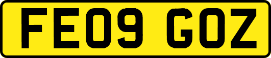 FE09GOZ