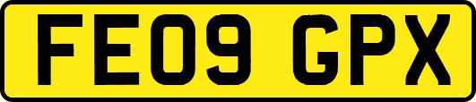 FE09GPX