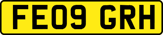 FE09GRH