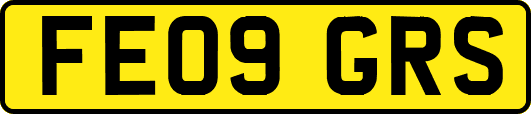 FE09GRS