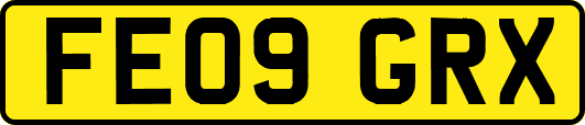 FE09GRX