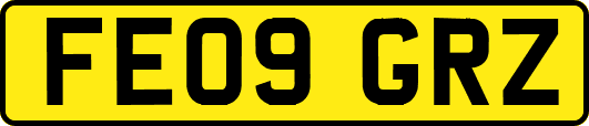 FE09GRZ