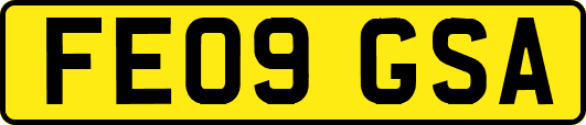 FE09GSA