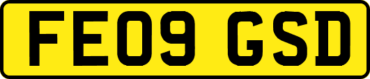 FE09GSD