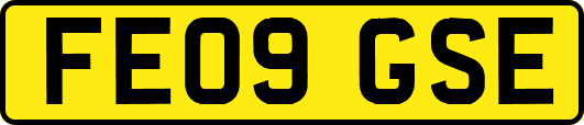 FE09GSE
