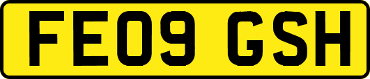 FE09GSH
