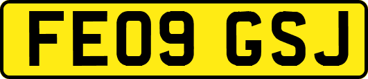 FE09GSJ