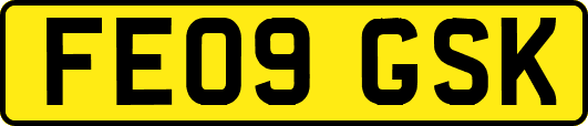 FE09GSK