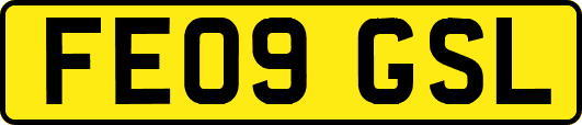 FE09GSL