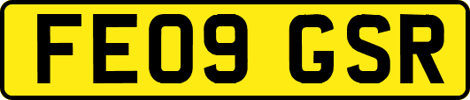 FE09GSR