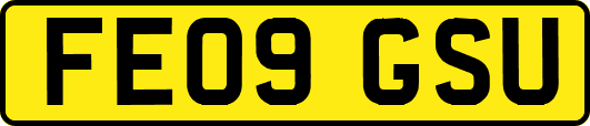 FE09GSU