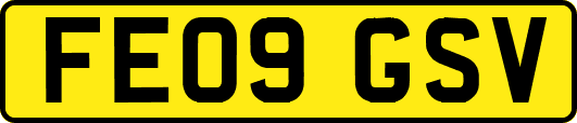 FE09GSV