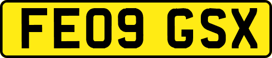 FE09GSX