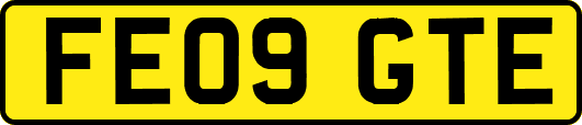 FE09GTE