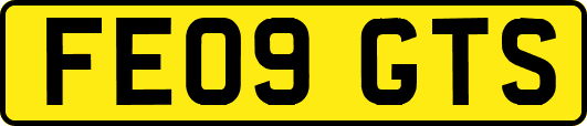 FE09GTS