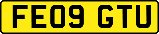 FE09GTU