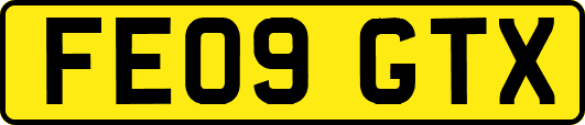 FE09GTX