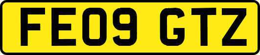 FE09GTZ