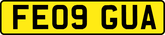 FE09GUA