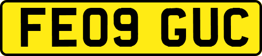 FE09GUC