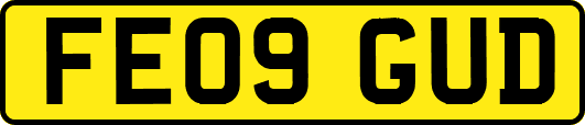 FE09GUD