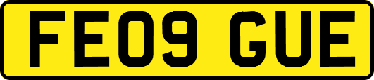 FE09GUE