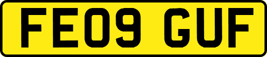 FE09GUF