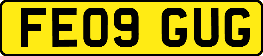 FE09GUG