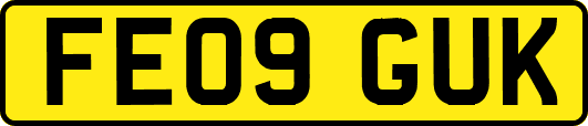 FE09GUK