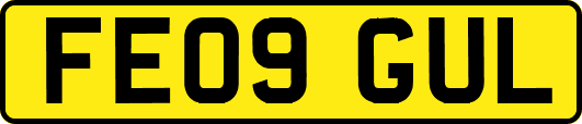 FE09GUL